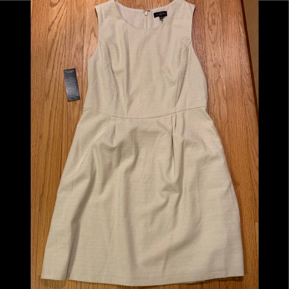 Cream with gold shimmer a line dress